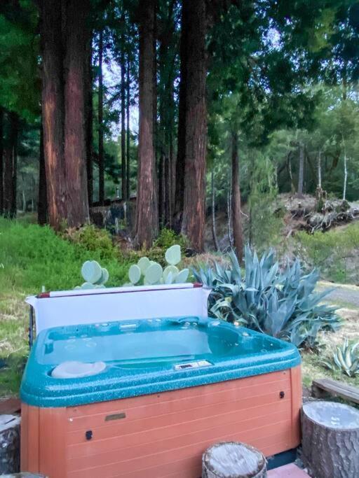 Little House In The Redwoods With A Hot Tub! Leilighet Garberville Eksteriør bilde
